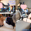 Thumbnail of related posts 173